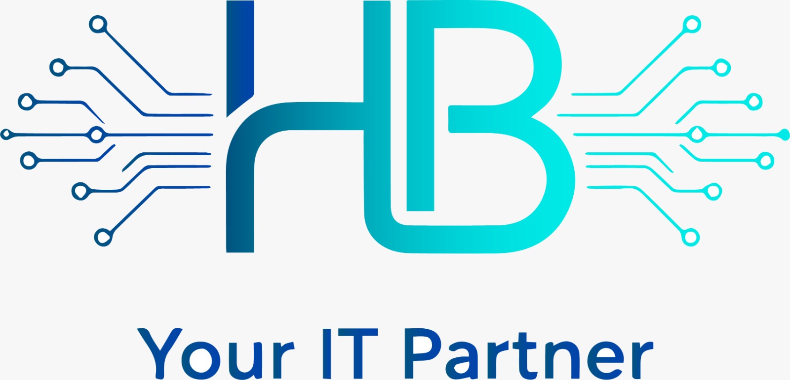 HBITPartner